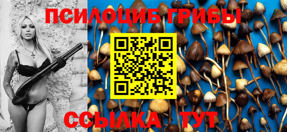 Псилоцибиновые грибы Cubensis Чапаевск