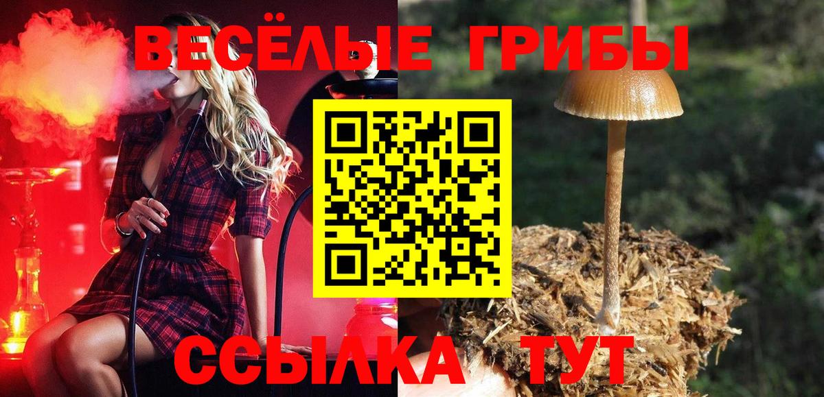Псилоцибиновые грибы прущие грибы  Псилоцибиновые грибы ЛСД  Вход с VPN  Чапаевск 